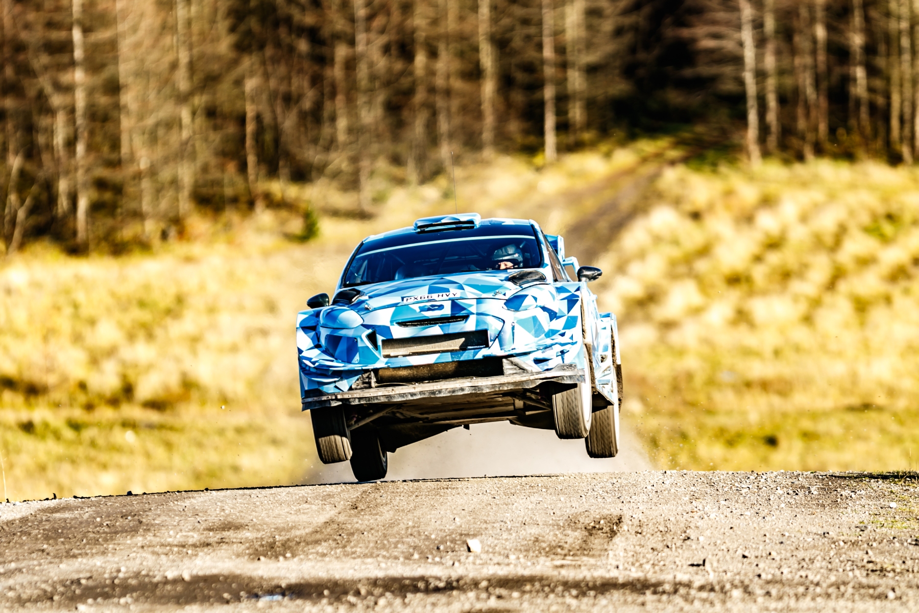 Ogier4