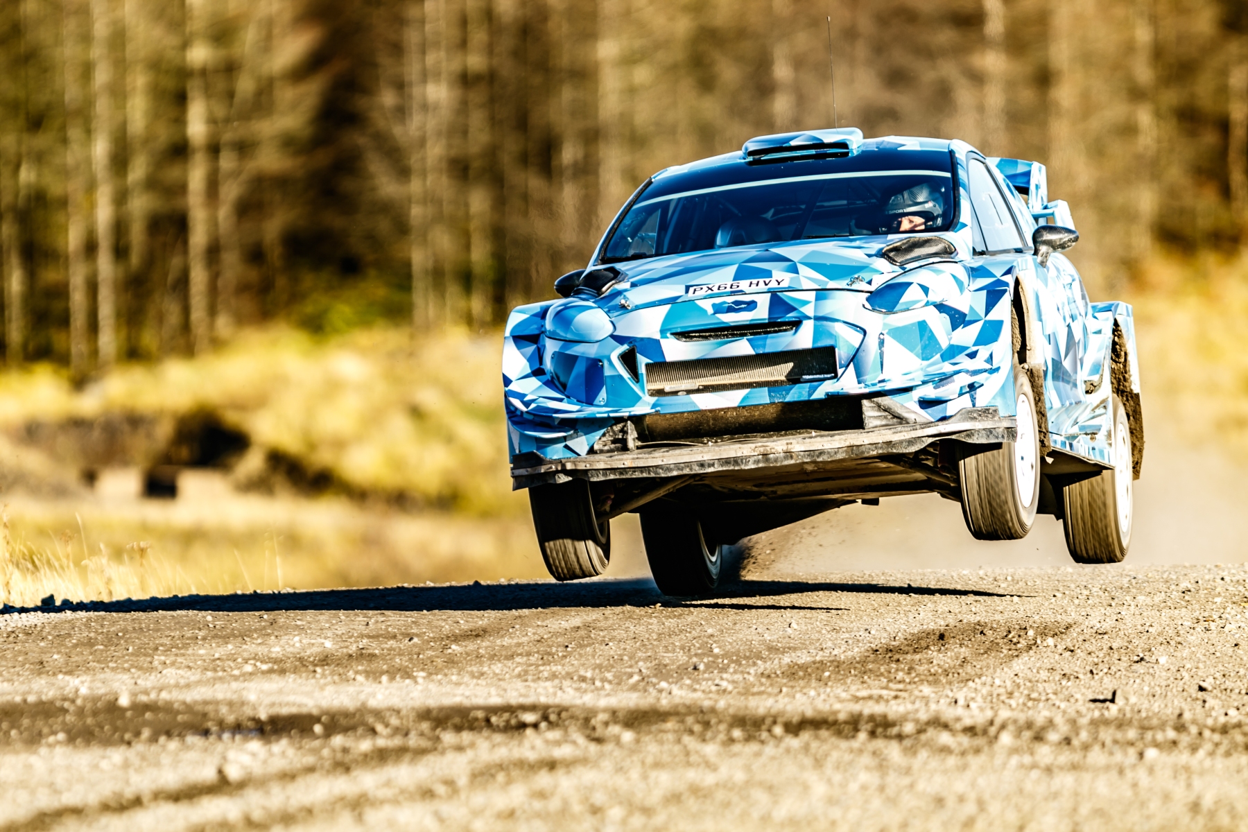 Ogier5